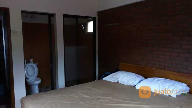 Rumah asri di barat tugu jogja jalan bener