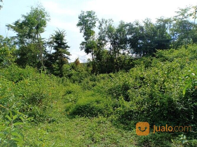 Tanah 20 Hektar Jl Raya Kerjo Karanganyar