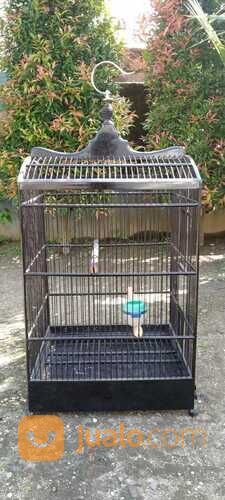 sangkar/kandang burung kotak ebod jaya no. 1 original