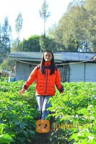 Jasa Sewa Dokumentasi Dan Fotografer Gunung Bromo
