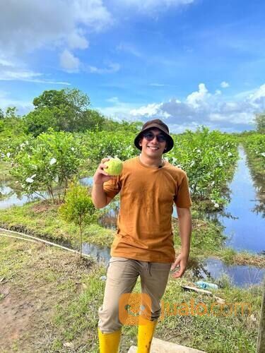 KAVLING KEBUN JAMBU KRISTAL DEKAT KOTA PONTIANAK