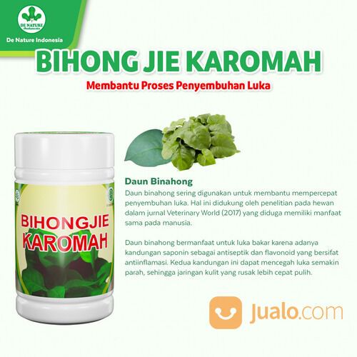 Bihongjie Karomah Suplemen Pengering Luka Herbal Ampuh Atasi Suka Pasca Operasi Melahirkan Sunat
