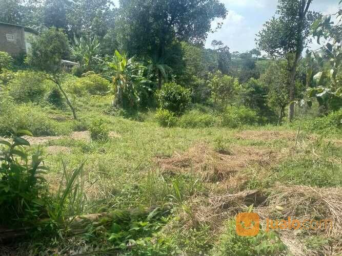 Tanah Murah Bandung Ujungberung Dekat Borma Cipadung Cicil 12X Non Bunga