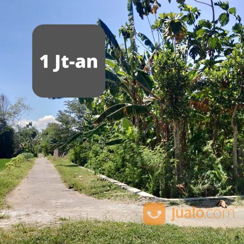 Kavling Madiun 2 menit Kantor Desa Pilangrejo 1 Jt an/m2