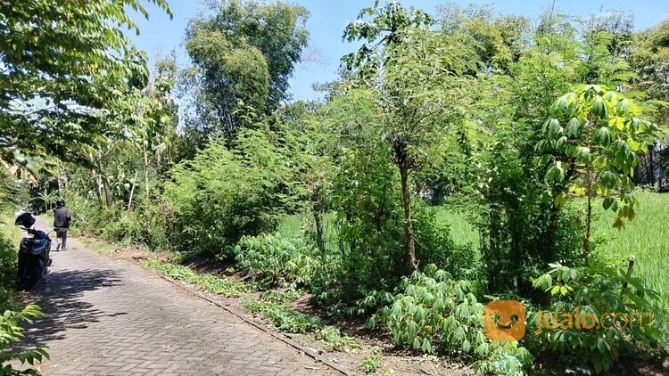 Kavling Madiun 2 menit Kantor Desa Pilangrejo 1 Jt an/m2