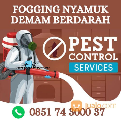 nyamuk merupakan salah satu serangga yang banyak merugikan dalam kehidupan