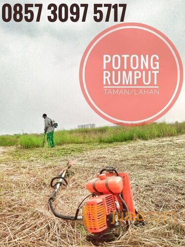 Potong Rumput Sidoarjo Surabaya Dan Sekitarnya