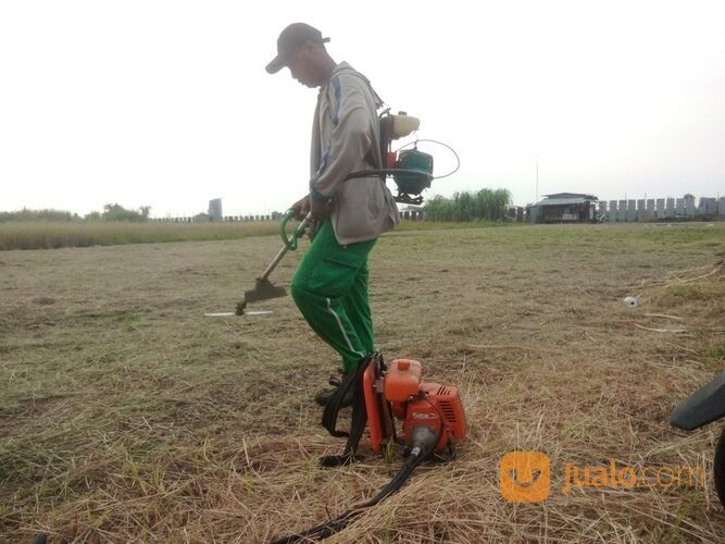 Potong Rumput Sidoarjo Surabaya Dan Sekitarnya