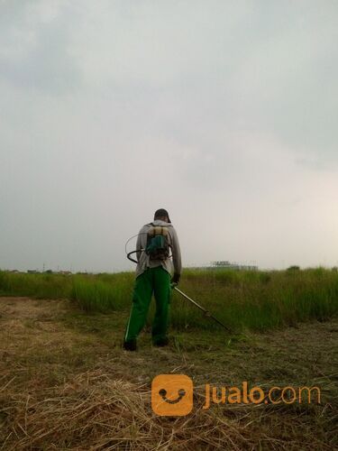 Potong Rumput Sidoarjo Surabaya Dan Sekitarnya