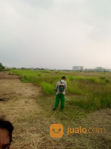 Potong Rumput Sidoarjo Surabaya Dan Sekitarnya