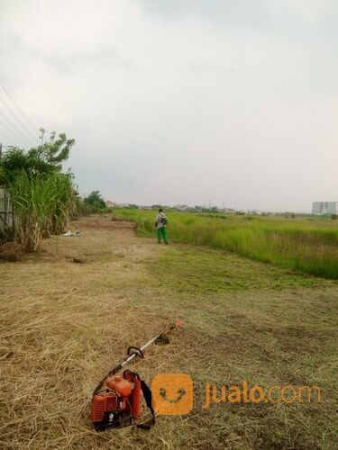 Potong Rumput Sidoarjo Surabaya Dan Sekitarnya