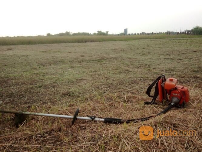 Potong Rumput Sidoarjo Surabaya Dan Sekitarnya