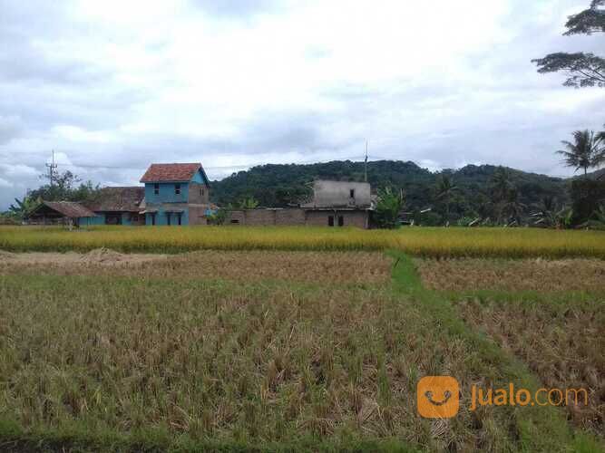 TANAH SAWAH PRODUKTIF SHM MURAH DI KUNINGAN JAWA BARAT
