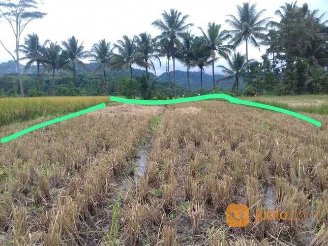 TANAH SAWAH PRODUKTIF SHM MURAH DI KUNINGAN JAWA BARAT