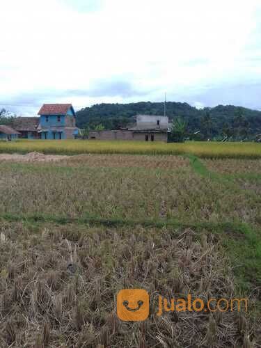 TANAH SAWAH PRODUKTIF SHM MURAH DI KUNINGAN JAWA BARAT