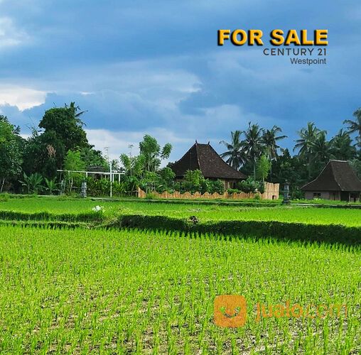 Rumah Joglo dan Tanah di Singakerta Banjar Tunon, Ubud Bali
