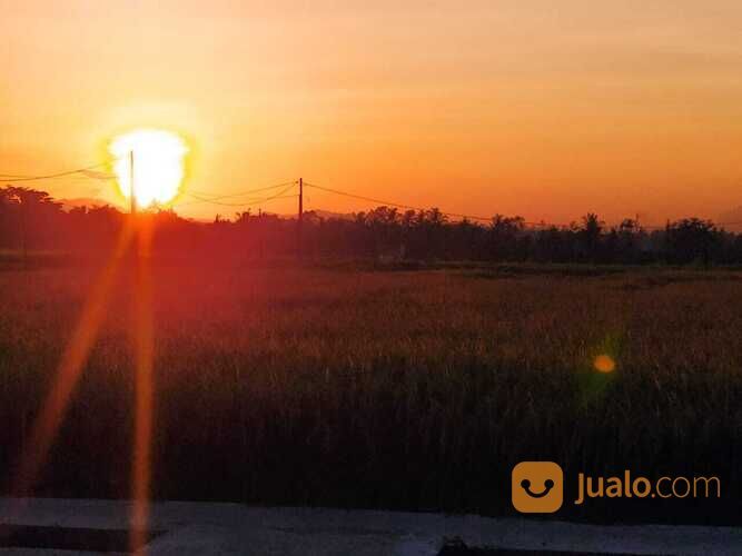 Rumah Joglo dan Tanah di Singakerta Banjar Tunon, Ubud Bali