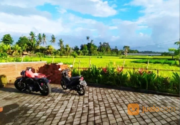 Rumah Joglo dan Tanah di Singakerta Banjar Tunon, Ubud Bali