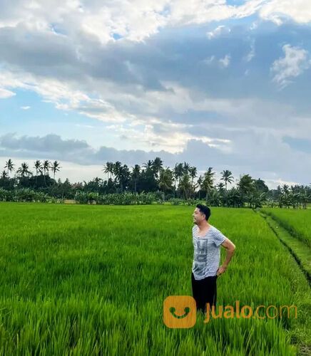 Rumah Joglo dan Tanah di Singakerta Banjar Tunon, Ubud Bali