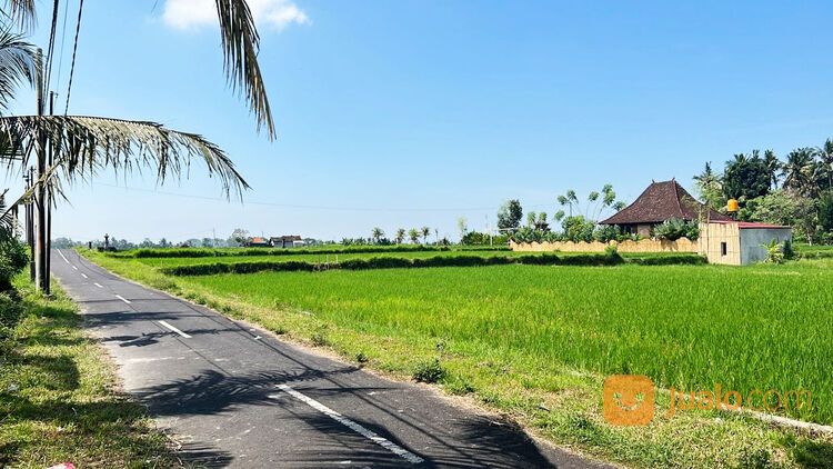 Rumah Joglo dan Tanah di Singakerta Banjar Tunon, Ubud Bali