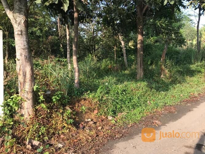 Tanah di Lokasi lingkungan kav.bukit jonggol village