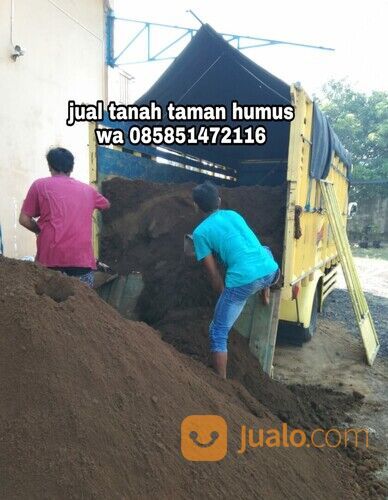 Harga Tanah Subur Bangil Pasuruan Tanah Humus Untuk Media Tanaman