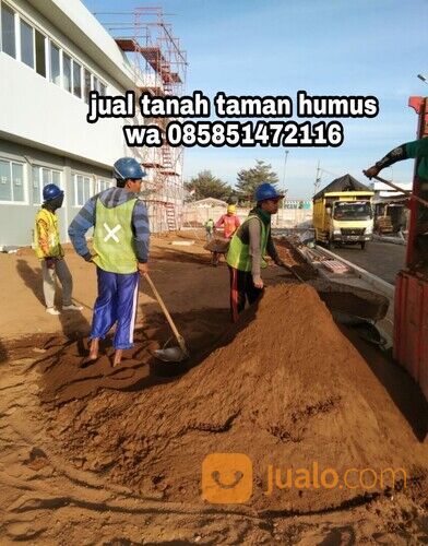 Harga Tanah Subur Bangil Pasuruan Tanah Humus Untuk Media Tanaman