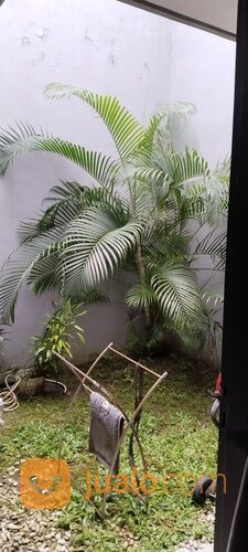 Rumah Jumbo Komplek Metropolitan Residence Samping Hotel Four Point Sheraton, Jl. Andi Djemma