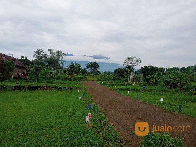 Tanah Kavling Pandaan Pasuruan Murah Dekat Kawasan Industri PT Gudang Garam