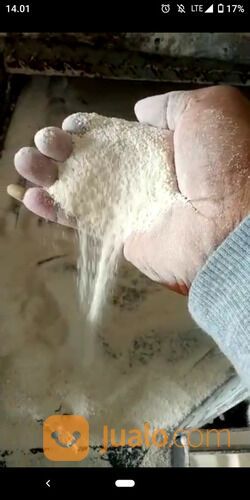 Mineral Kalsium campuran pakan ternak sapi, babi dan unggas 400/kg