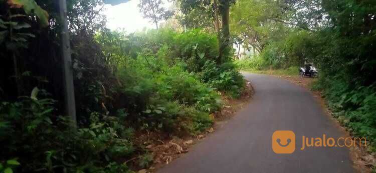 Tanah Lokasi Beji Junrejo Kota Batu 2,5 Milyar