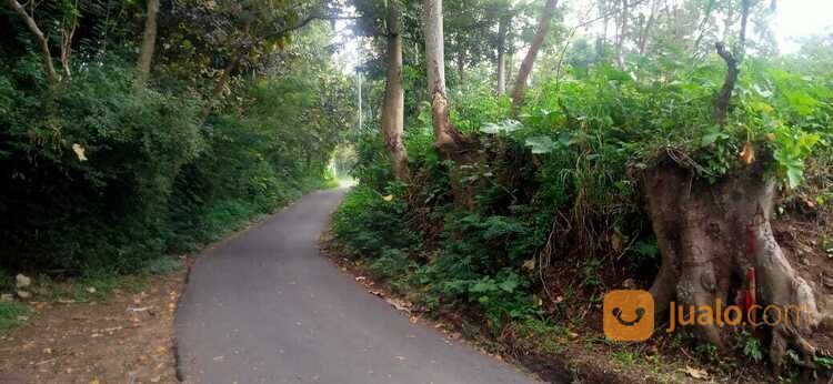 Tanah Lokasi Beji Junrejo Kota Batu 2,5 Milyar
