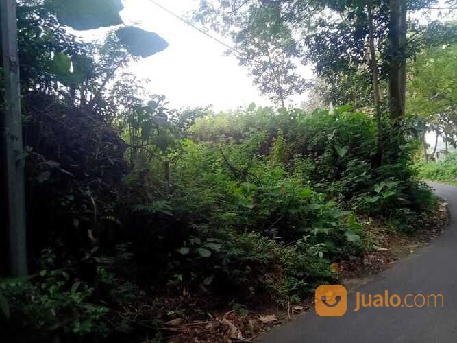 Tanah Lokasi Beji Junrejo Kota Batu 2,5 Milyar