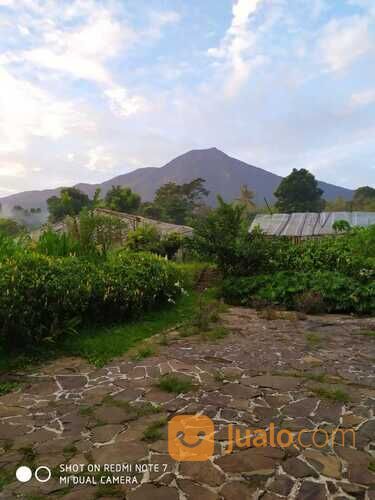 Villa Tenjolaya Kebun dan Buah Ciapus Bogor