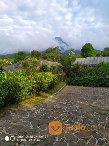 Villa Tenjolaya Kebun dan Buah Ciapus Bogor