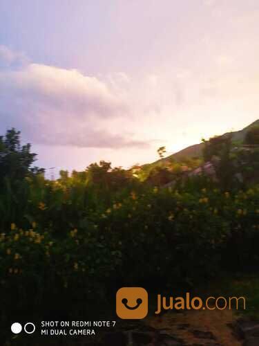 Villa Tenjolaya Kebun dan Buah Ciapus Bogor