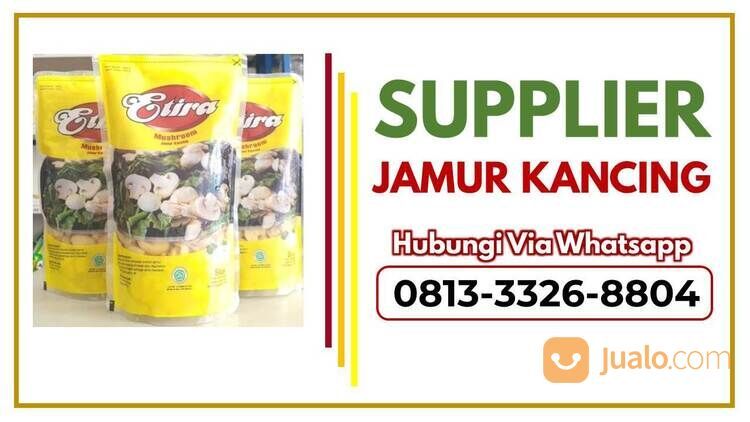Hub 0813-3326-8804, Distributor Jamur Kancing Segar di Malang