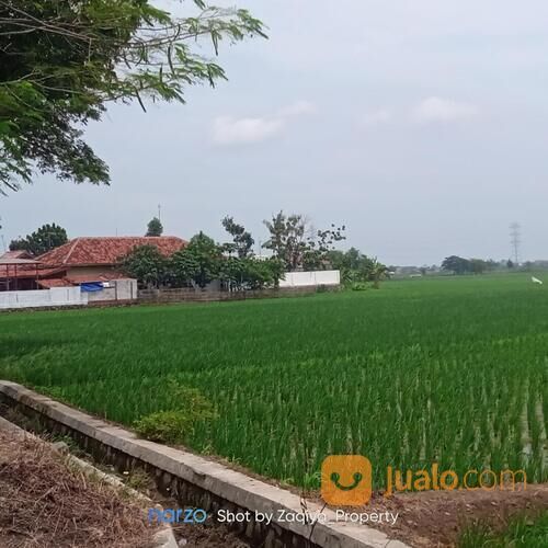 *Termurah* Tanah Sawah produktif pinggir jalan raya - BU