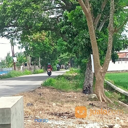 *Termurah* Tanah Sawah produktif pinggir jalan raya - BU
