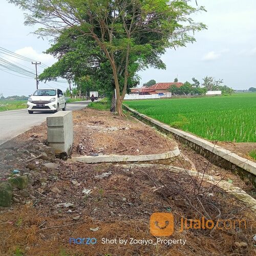*Termurah* Tanah Sawah produktif pinggir jalan raya - BU