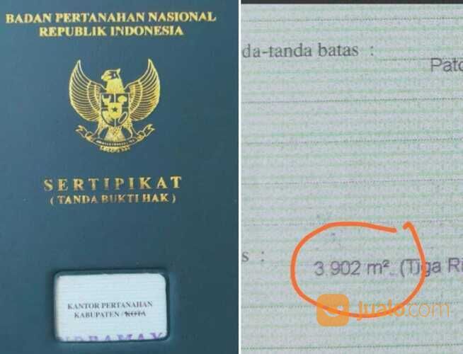 *Termurah* Tanah Sawah produktif pinggir jalan raya - BU