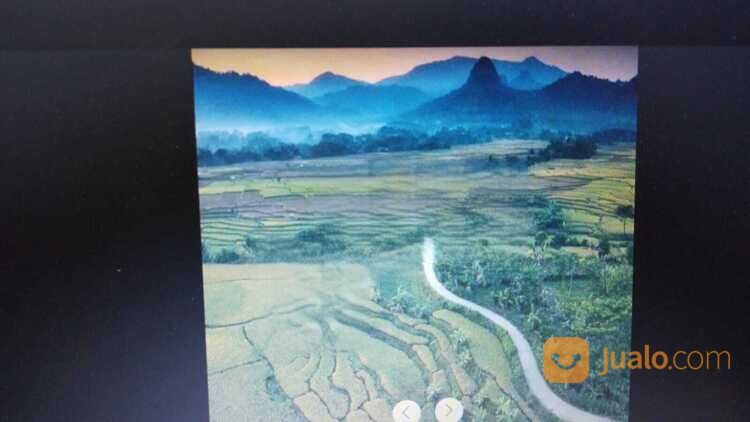 Tanah Cariu Bantar Kuning Bogor