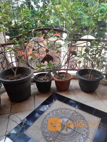 Rumah Banyumanik Area Strategis Dekat Swalayan ADA Setiabudi