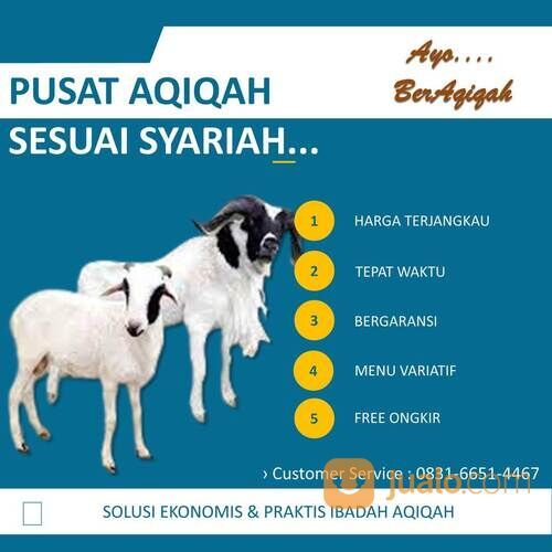 0831-6651-4467 (GARANSI TERMURAH), Promo Cek Harga Kambing Aqiqah Pekalongan