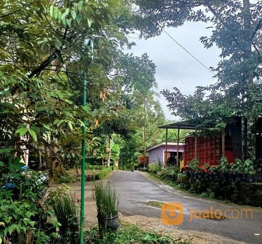 Tanah Kebun Durian Jumantono Karanganyar