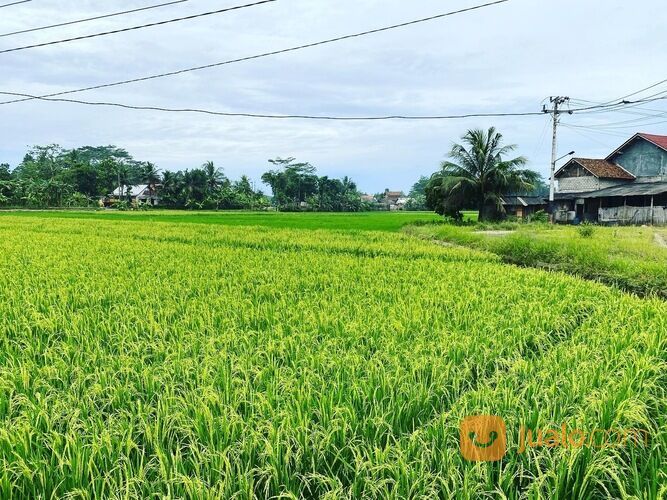RUMAH 2 LANTAI SIAP HUNI DESA SLARANG KESUGIHAN