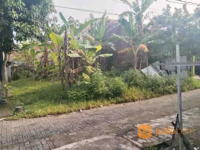 Tanah Blancir Plamongansari Pedurungan Kidul