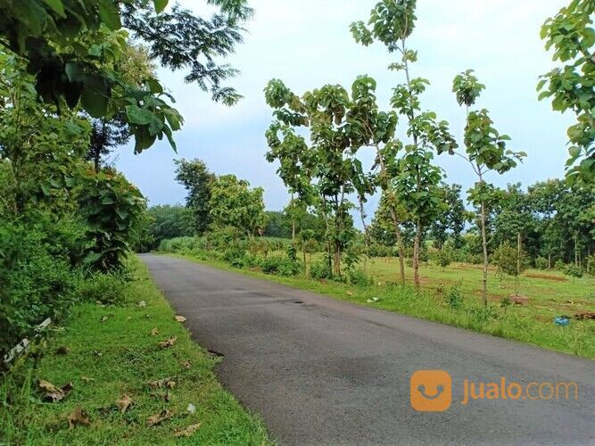 Tanah Strategis 3000m² Jl Raya Sragen Kerjo Karanganyar