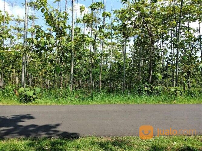 Tanah Strategis 3000m² Jl Raya Sragen Kerjo Karanganyar