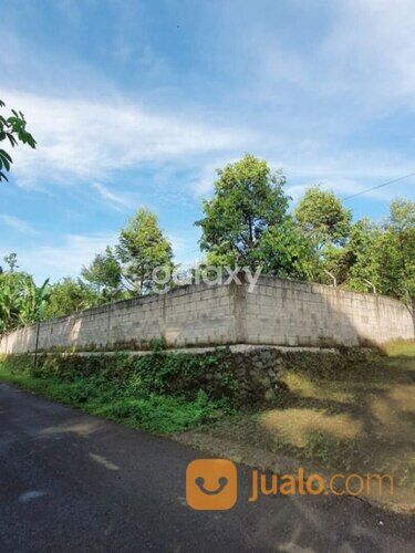 KEBUN DURIAN PURWODADI LAWANG GMK01875